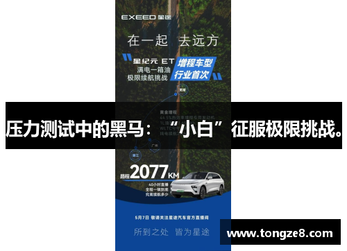 压力测试中的黑马：“小白”征服极限挑战。
